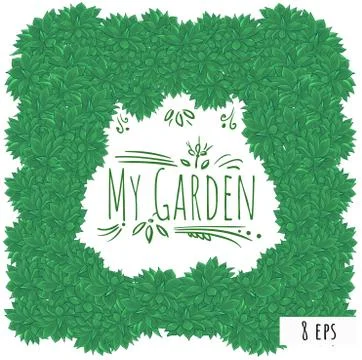 Vector card  echeveria frame My Garden Stock Illustration