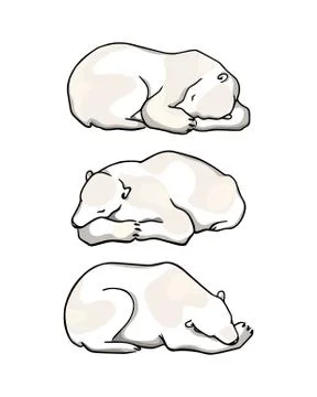 Vector card with hand drawn polar bear Stock Illustration