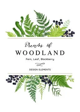 Vector card with a leafy bouquet. Illustrazione stock