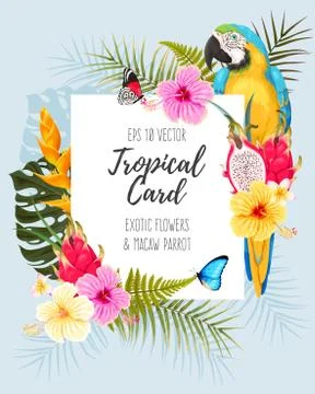 Vector card with macaw and flowers Stock Illustration