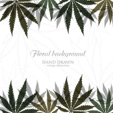 Vector card or invitation design with hand drawn Marijuana leaf. Cannabis Stock Illustration
