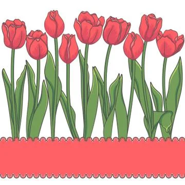 Vector card with red tulips and place for an inscription. Stock-Illustration