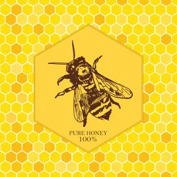 Vector card template with honey bee sketches hand drawn and seamless pattern. Stock Illustration