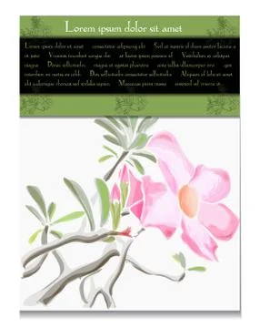 Vector card with tropical flower Stock Illustration