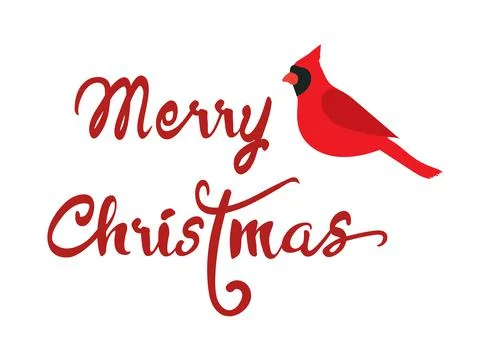 Vector Cardinal Bird Stock Illustration