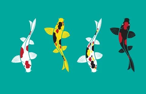 Vector of carp koi fish design isolated on blue background. Pet Animal. Easy  스톡 일러스트