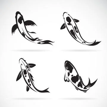 Vector of carp koi fish isolated on white background. Pet  Animal. Easy edita Stock-Illustration