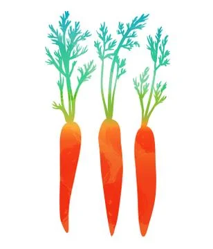 Vector carrots isolated on white background Stock Illustration