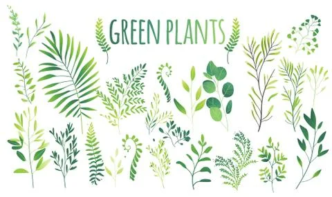 Vector cartoon abstract green plants flower herbs icon set 스톡 일러스트