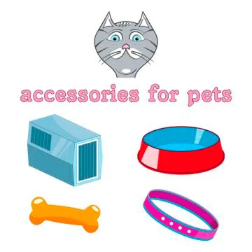 Vector cartoon accessories for animals. Stock Illustration