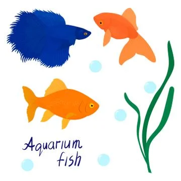 Vector cartoon aquarium fish set Stock Illustration