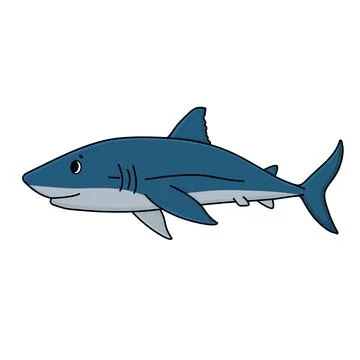 Vector cartoon doodle shark from the ocean or sea. Outline animal is isolated Stock Illustration