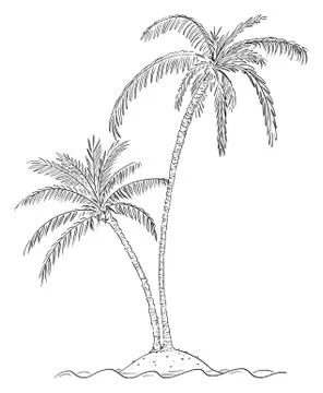 Vector Cartoon Drawing of Two Palm Trees on Small Island in Ocean Stock Illustration