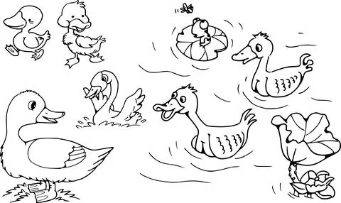 Vector cartoon farm animals ducks action emoji set Stock Illustration