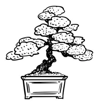 Vector Cartoon Illustration of Bonsai Pine Tree Illustrazione stock