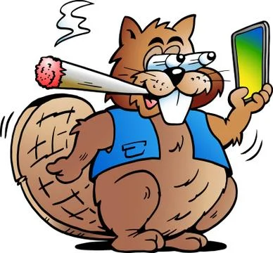 Vector Cartoon illustration of a Cool Beaver smoking a Joint Stock Illustration