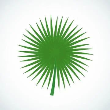 Vector cartoon isolated tropic leaf of palm tree. イラスト素材