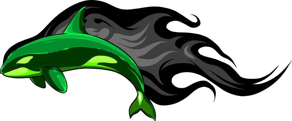 Vector Cartoon Orcinus Orca. Killer Whale Illustration design Illustrazione stock
