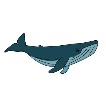 Vector Cartoon outline cute blue whale. Graphic, poster design, t-shirt desig Stock Illustration