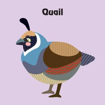 Vector cartoon quail Stock Illustration