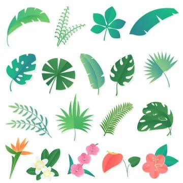 Vector cartoon set of isolated tropical leaves. Palm, banana leaf, hibiscus Illustrazione stock