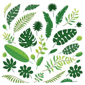 Vector cartoon set of tropical leaves isolated Stock Illustration