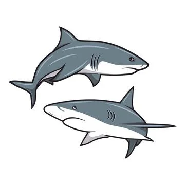 Vector Cartoon Shark Set Isolated. Hand Drawn Colored White Sharks with Contour Illustrazione stock