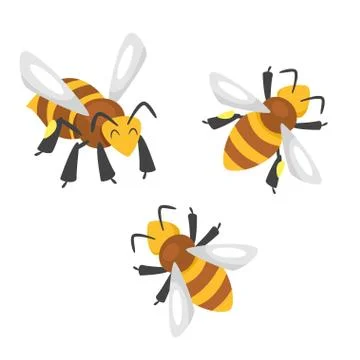 Vector cartoon style bees. Stock Illustration