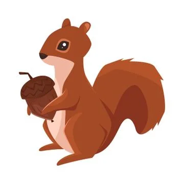 Vector cartoon style illustration of squirrel with acorn Stock Illustration