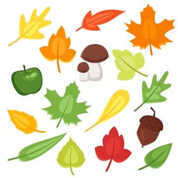 Vector cartoon style set of autumn symbols Stock Illustration