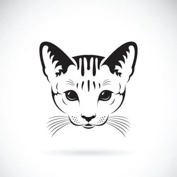 Vector of a cat face on white background, Pet. Animals. Illustrazione stock