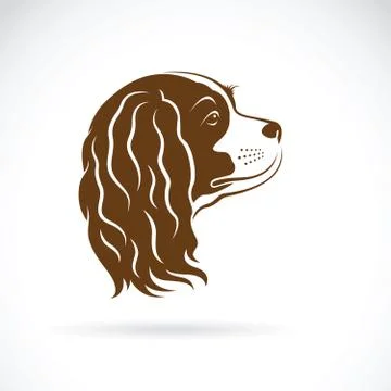 Vector of Cavalier King Charles Spaniel dog on white background. Pet Animal.  Stock Illustration