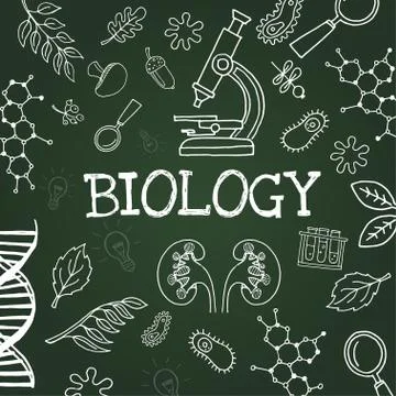 Vector chalk draw chemistry elements Stock Illustration