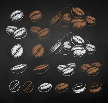 Vector chalk sketches set of coffee beans Stock Illustration