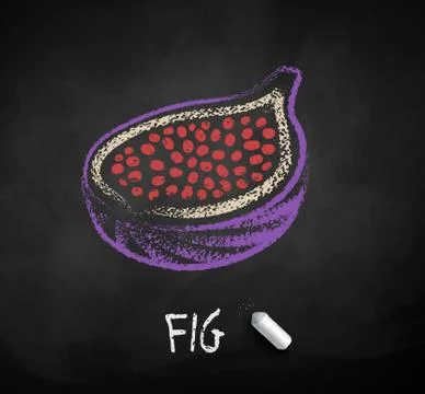 Vector chalked sketch of half of Fig Stock Illustration