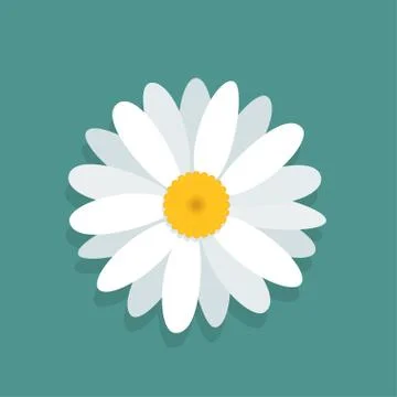 Vector chamomile flower isolated on blue background Stock Illustration