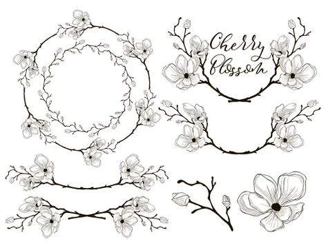 Vector Cherry Blossom Design. Dividers, Frames and Wreaths Stock Illustration