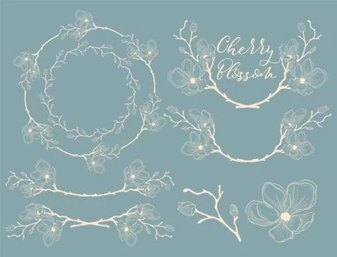 Vector Cherry Blossom Design. Dividers, Frames and Wreaths Stock Illustration