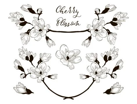 Vector Cherry Blossom Design. Dividers, Frames Stock Illustration