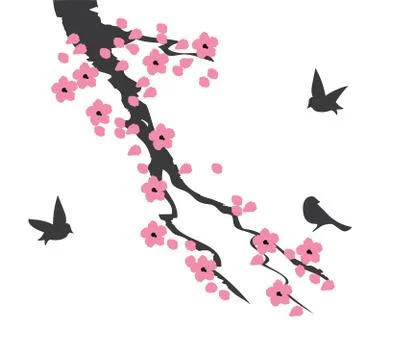 Vector Cherry Blossom Stock Illustration