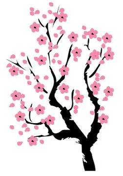 Vector Cherry Blossom Stock Illustration