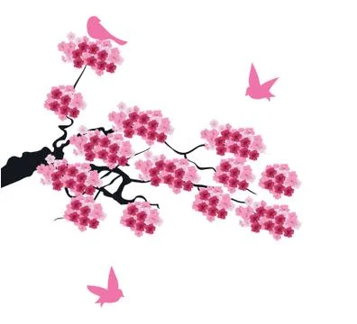 Vector Cherry Blossom Stock Illustration