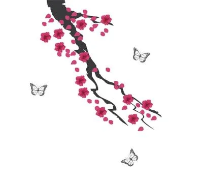 Vector Cherry Blossom Stock Illustration