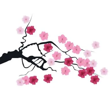 Vector cherry blossom Stock Illustration