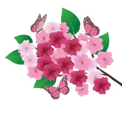 Vector cherry blossom Stock-Illustration
