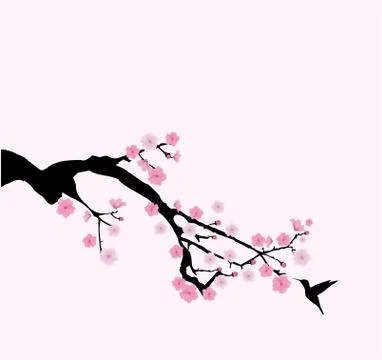Vector cherry blossom Stock Illustration