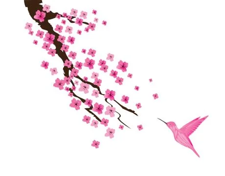 Vector Cherry Blossom Stock Illustration