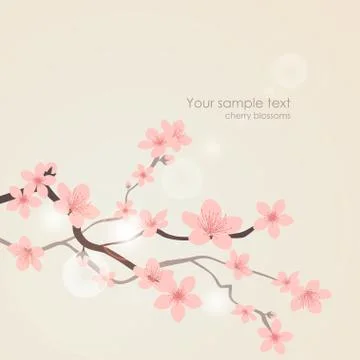 Vector cherry blossoms Stock Illustration