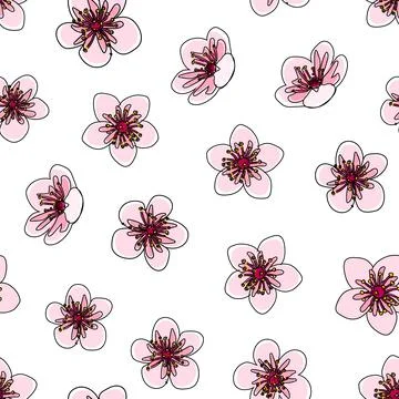 Vector cherry flowers black outline, unfit colored  white background pattern Stock Illustration