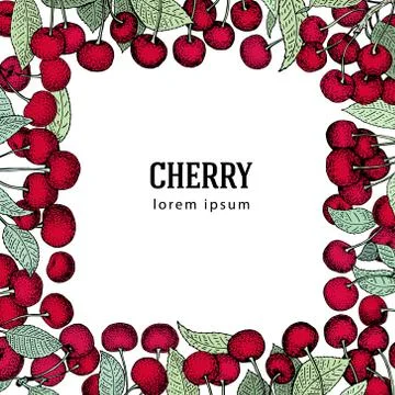 Vector cherry frame Can be use for background, packaging, design, invitatio.. Stock Illustration